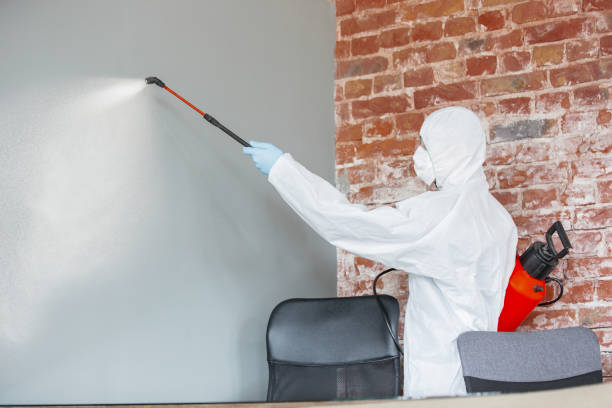 Best Attic Mold Removal  in England, AR