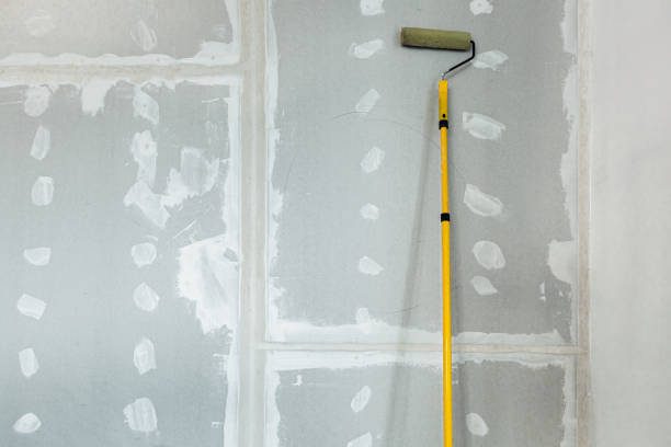Best Mold Odor Removal Services  in England, AR
