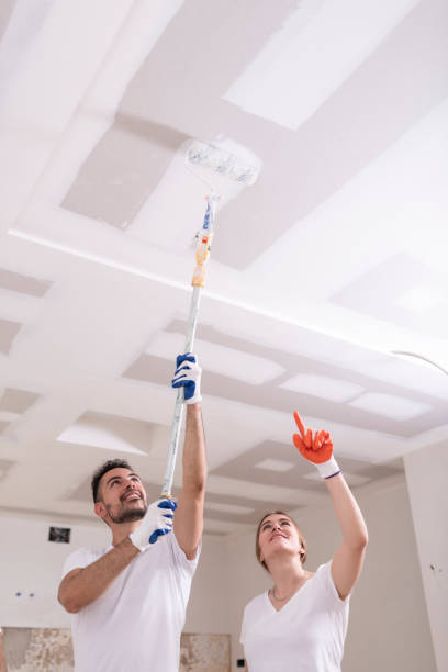 Mold Removal for HVAC Installations in England, AR
