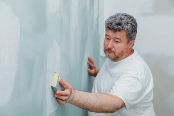 Best Black Mold Removal  in England, AR